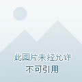 隐世家族：我，太子下山